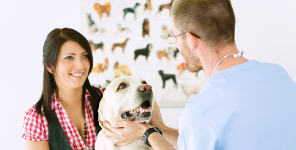 Woman, dog and vet technician