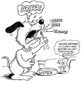 Cartoon of dog brushing teeth