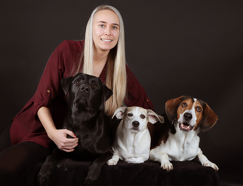 Brittany – | Terra Glen Animal Hospital